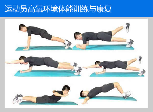 运动员康复与体能训练